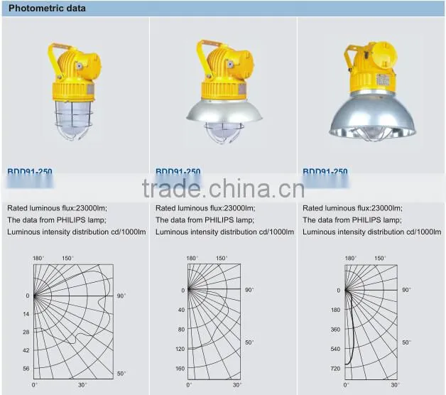 BDD91 Series Explosion-proof Light Fittings