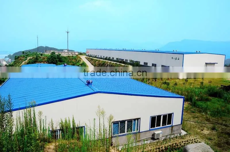 green peas canned food with best quality