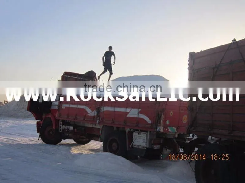 Sodium Chloride 98-99% NACL (Siwa Rock Salt) for melting snow (white color - low moisture - no impurities - loose shipments)