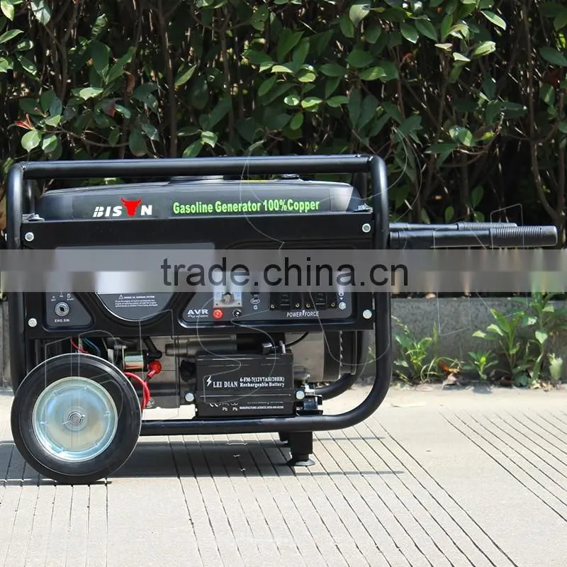 BISON(CHINA) BS3500 2.8kw Gasoline Generator