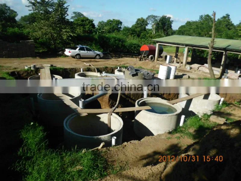 China Puxin Household 4m3 Biogas Anaerobic Digester