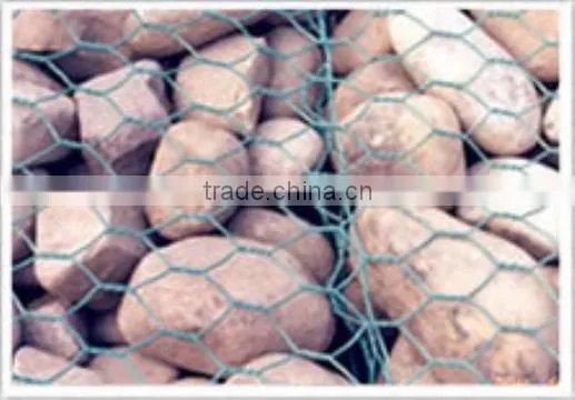 pvc hexagonal green plastic wire netting