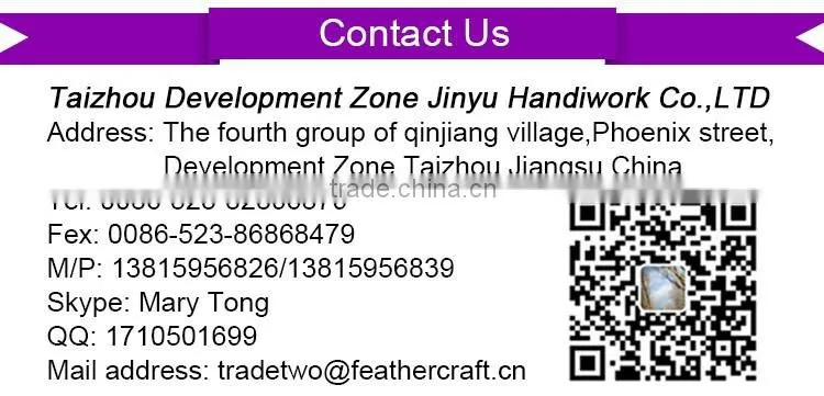 paragraph-blasting beautiful elegant feather nacklace