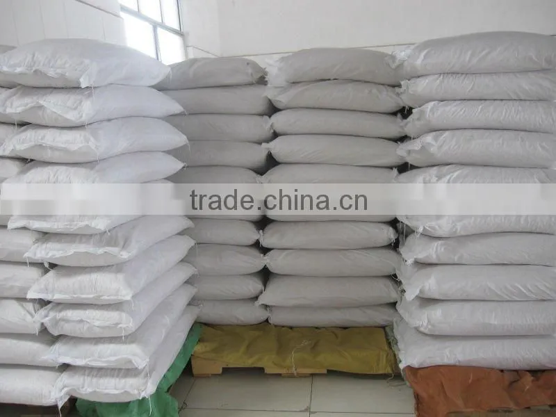 Shandong blanched peanut kernels 25/29