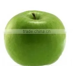 Wholesale Prices Fresh Apple Fruit / Red Fresh Apple