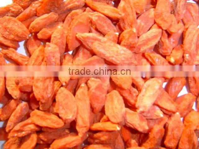 Lycium Fruit