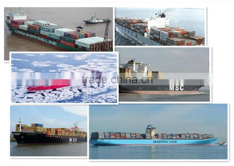 CHINA to South America.sea freight service,china consolidation services