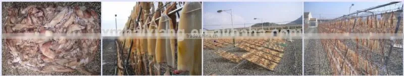 export dried squid supplier