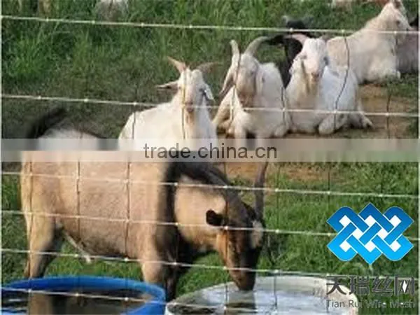 field mesh/cattle mesh/field fence