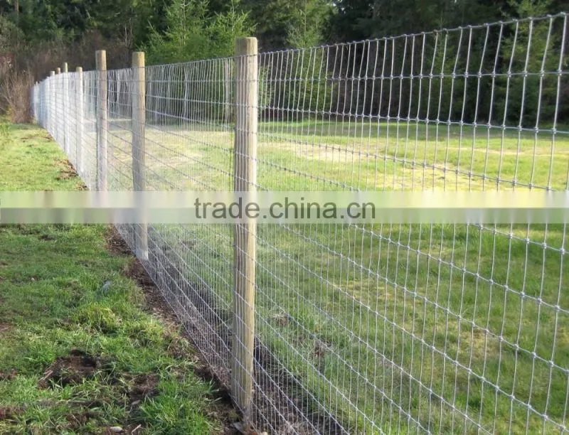 Cattle Goat Fied Fence Product on Alibaba