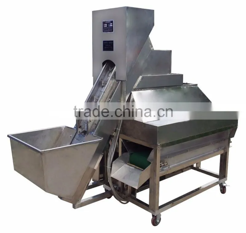 2017 hot sale Automatic Onion Peeler/Onion peeling machine