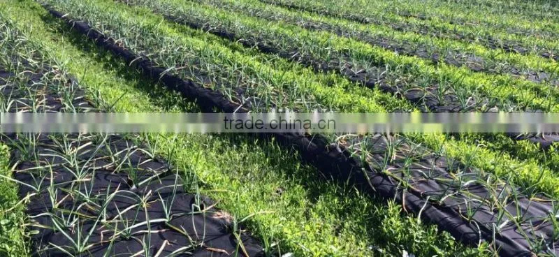 UV stabilised eco-friendly pp non woven garden weed control/guard mulch sheet/weed mat