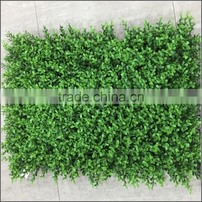 New plastic Milan boxwood panel
