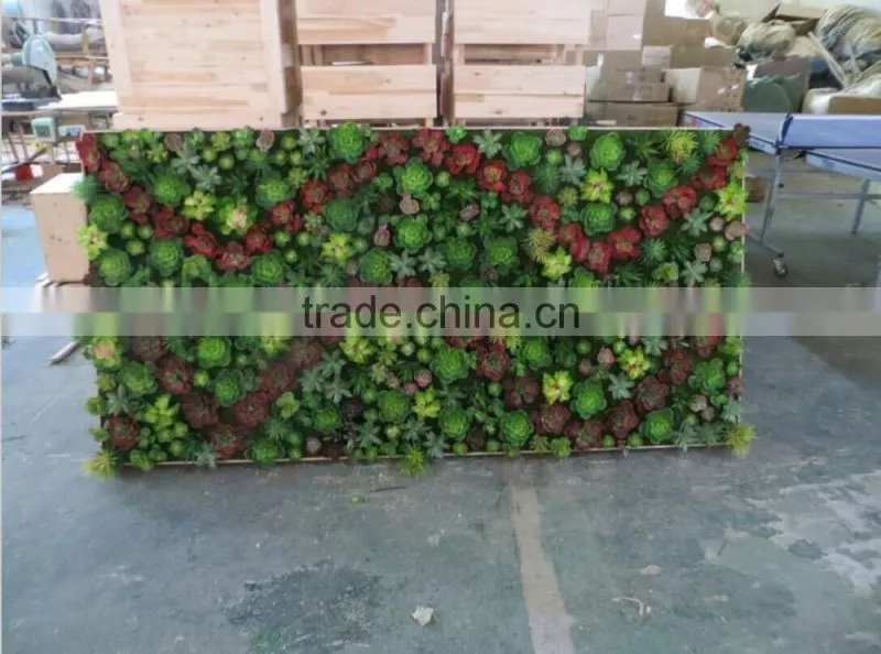 succulent plants green wall interior decoration for sale