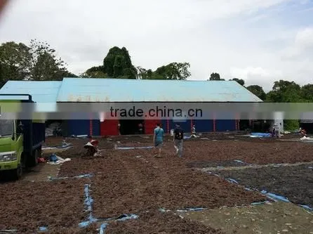 Euchema Spinosum With High Quality