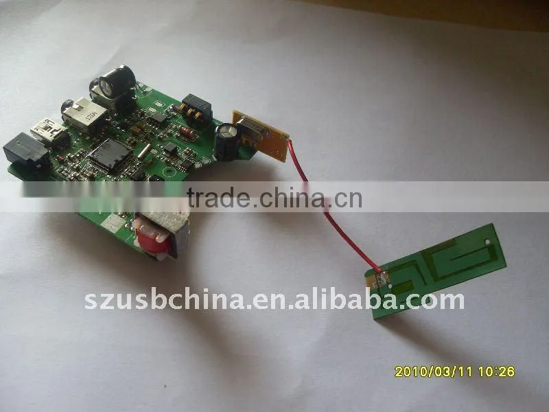 Decoy bird mp3 player with remote control