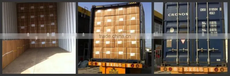Food Packaging Container
