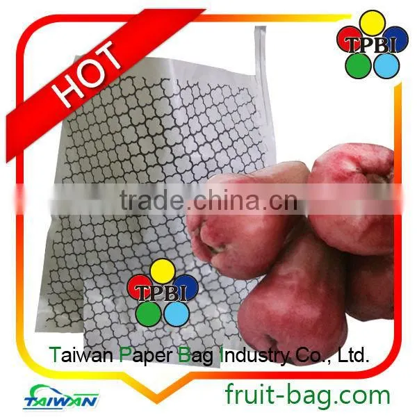 carambola paper star fruit growing paper bag