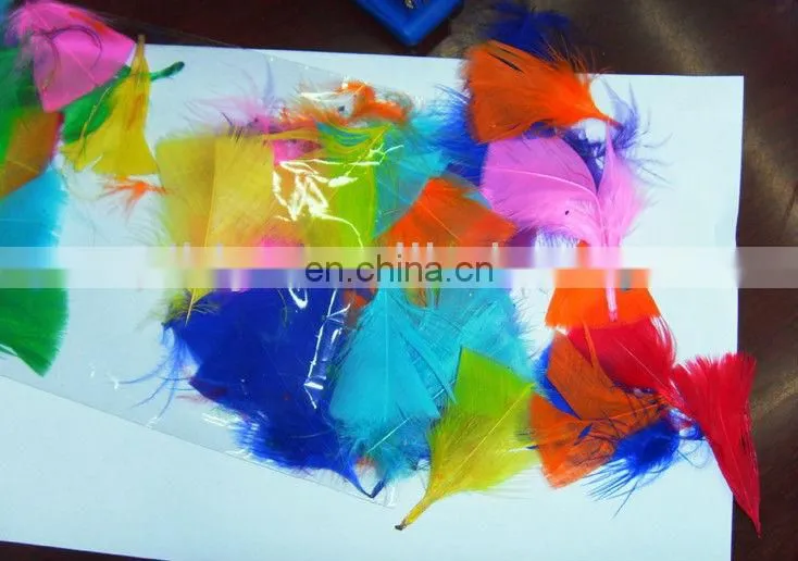 pheasant colorful feather, chicken feather