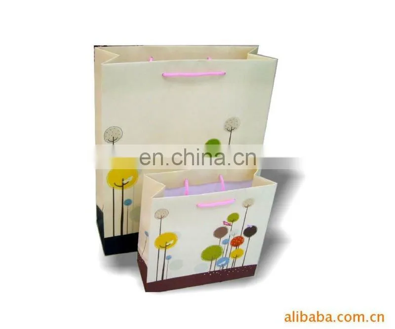 paper carry bag