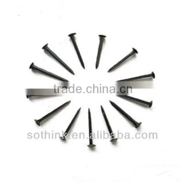 Hot sale shoe tacks Nails
