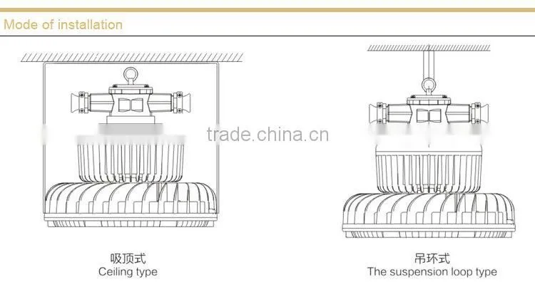 Explosion proof LED roadway lights