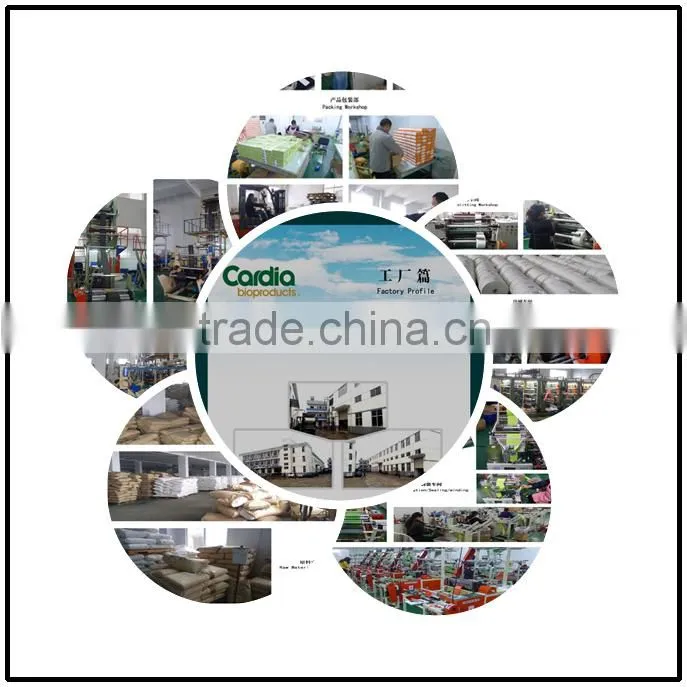 biodegradable shopping plastic bags with customized printing
