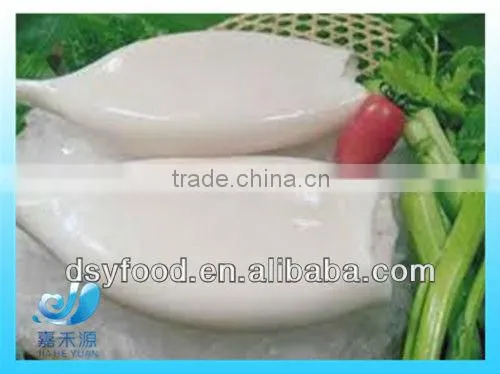 frozen fresh-looking squid ring