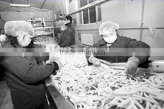 frozen french fries production line