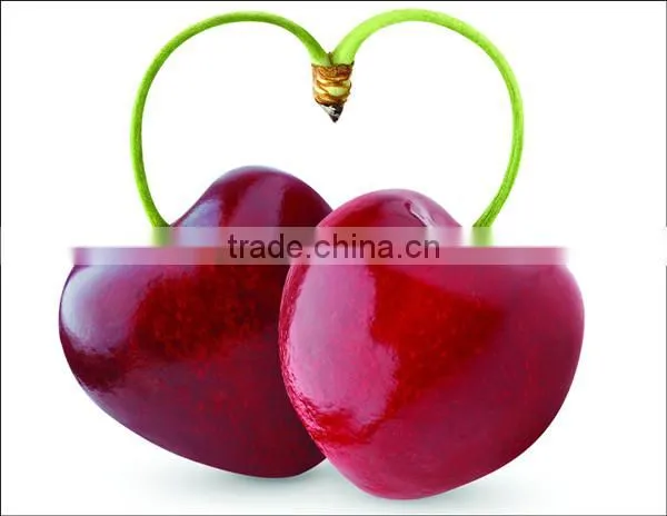 fruit vegetable stainless steel sorting table