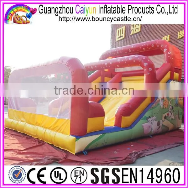 Commercial Grade Inflatable Dry Slide For Rental