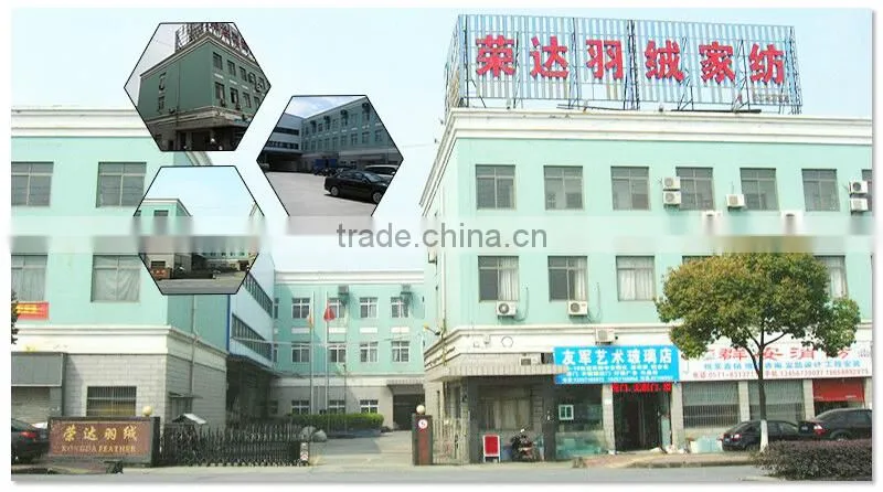 China supplier hot sale air roll compressed mattress