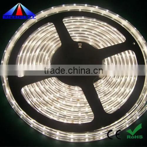 12V 3014 LED Strip IP68 PU glue waterproof