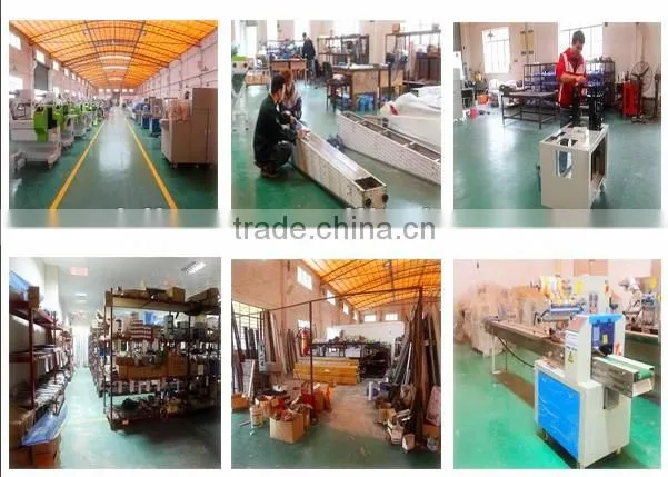 automatic detergent packing mechine