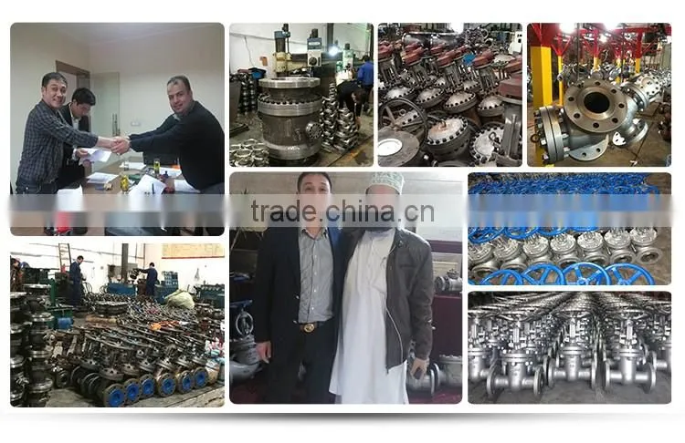 Z40H Standard API Manual 150LB 10 Inch API Gate Valve