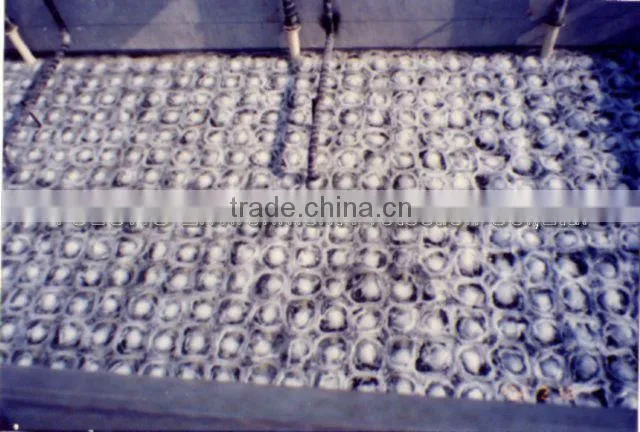 Engineering constructions for waste water treatment plant