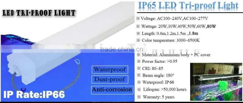 Super brightness Emergency led tri-proof