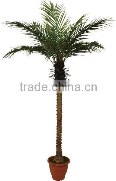 artificial phoenix palm tree in group for project decor