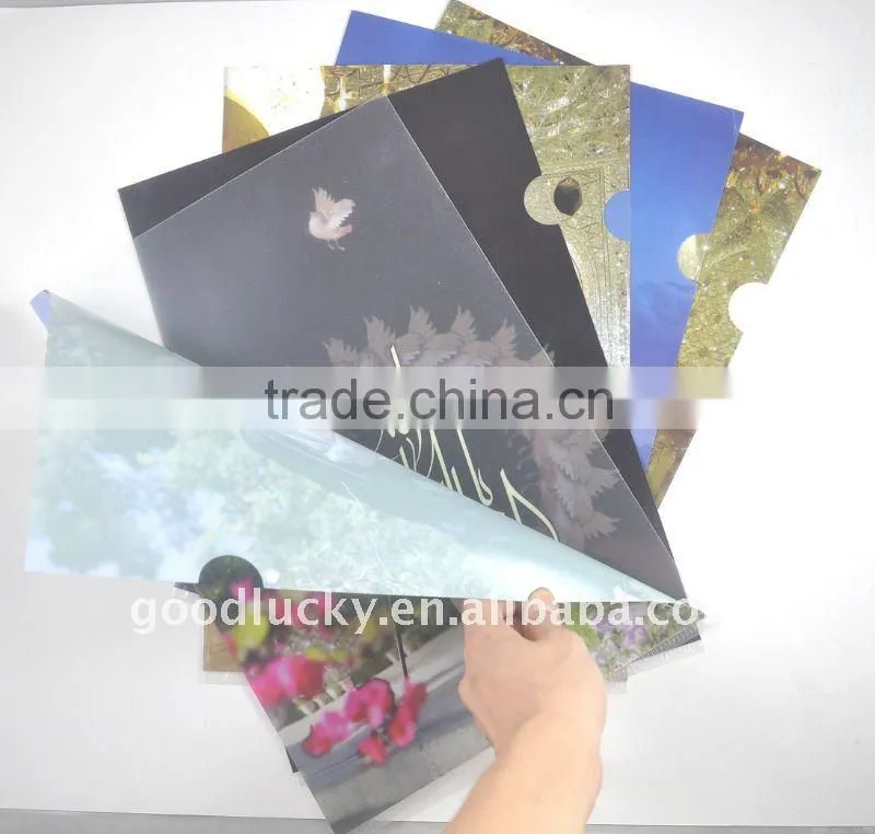Useful gift A4 A5 pp file folder/pp plastic folder for office