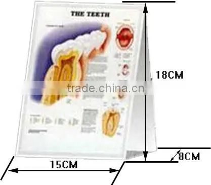 V--DC01 3D Medical Chart Desk Calendar