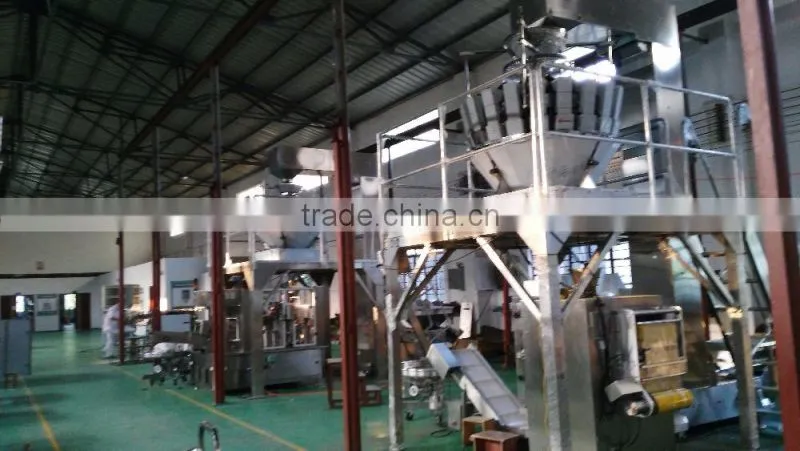 2015 SW-P420 Vertical Form Fill Seal Filling Packing Machine