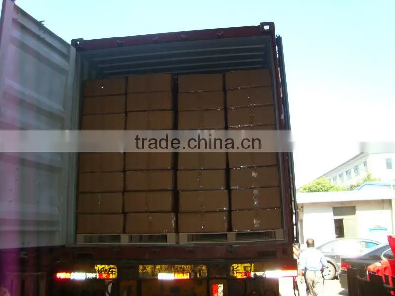 Expandable Crowd Control Safety Barrier EXB-SS4