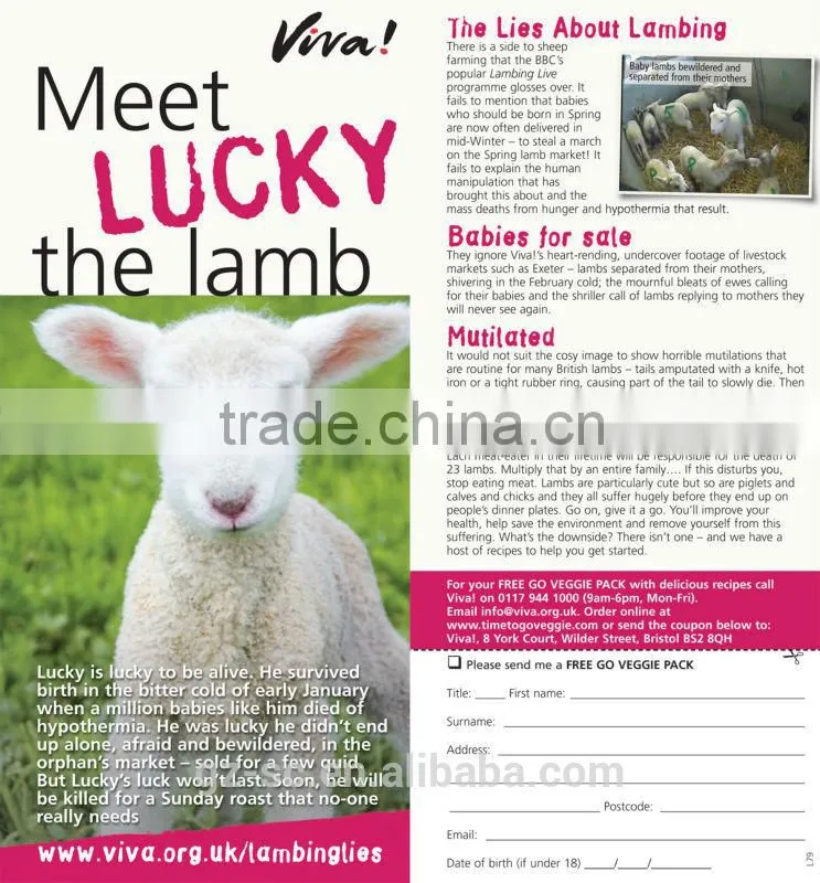 Customized printable leaflets
