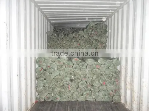 wooden brush varnished handle from china factory wholesale