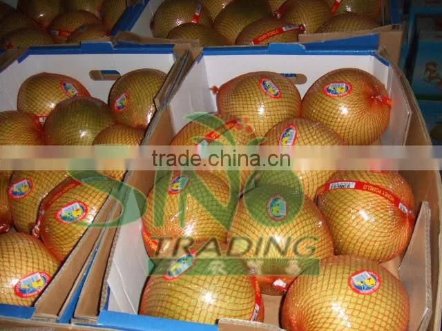 fresh pomelo