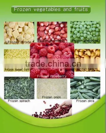 Frozen Lingonberry asian fruits best frozen fruit