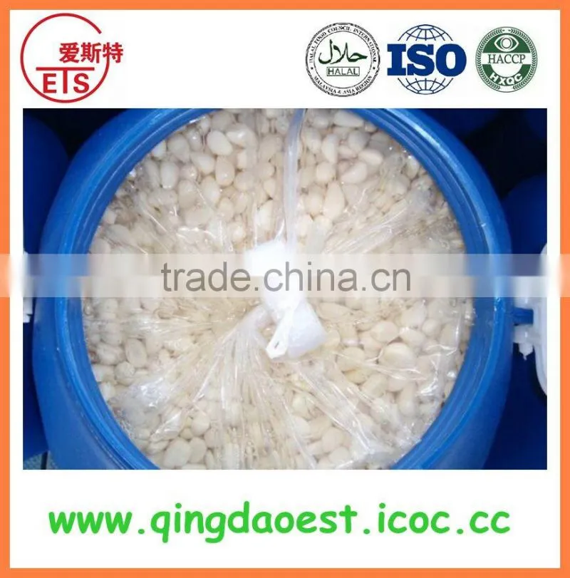 2016 high quality fresh white garlic from china