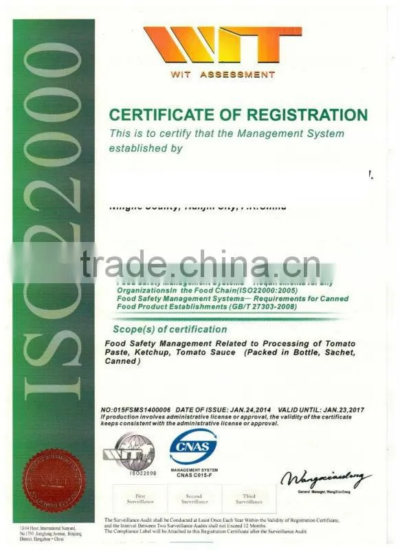 hot selling africa halal food red color natural tomato paste