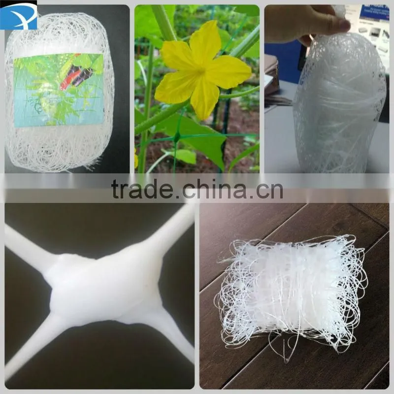 cucumber plants support netting