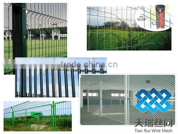 high quality wiremesh fence